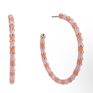 Isaac Mizrahi Enamel Post Hoop Earrings